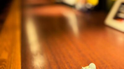 本日もBar John Doeは通常営業しております。下北沢にお越しの際は是非お立ち寄りください。#bar #johndoe #shimokitazawabar #whiskey #cocktails #beer #wine #foods #食事が出来るバー #下北沢バー #南西口 #隠れ家バー #1人呑み #bourbon #カクテル #ワイン #下北沢ナイト #グラタン #全席喫煙ok #山口県 #二次会 #下北沢デート #ジョンドー #gratin#あいにくの雨 #朝には#tuffy#tomandjerry本日の下北沢BarJohnDoe